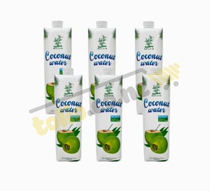 Set 6 hộp nước dừa tươi Ba Cây Tre 1L