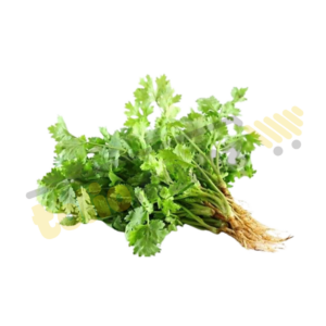Ngò - Coriander 100g