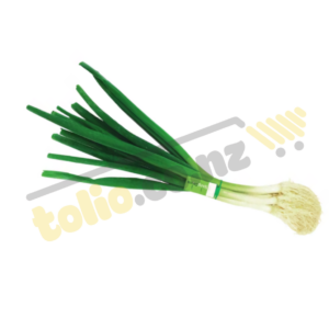 Hành lá - Spring Onion