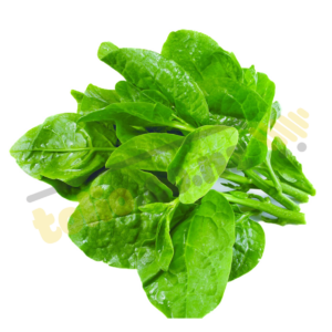 Rau mồng tơi - Malabar spinach (950g – 1,050g)