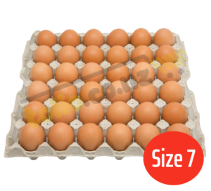 Trứng gà size 7 khay 30 quả