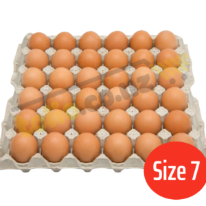 Trứng gà size 7 khay 30 quả
