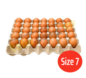 Trứng gà size 7 khay 30 quả