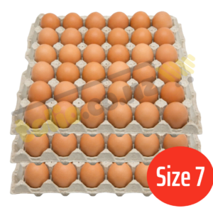 Set of 3 egg trays, size 7