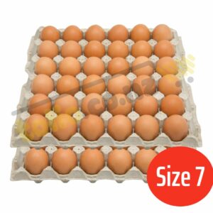 Set 2 khay trứng gà size 7