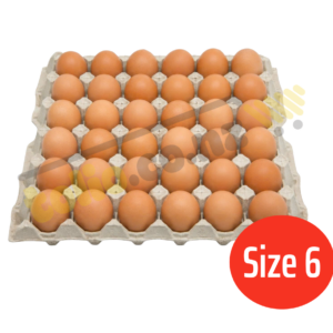Chicken eggs, size 6, tray of 30 eggs.