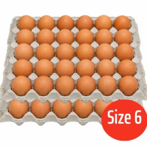 Set 2 khay trứng gà size 6 (30 quả/khay)