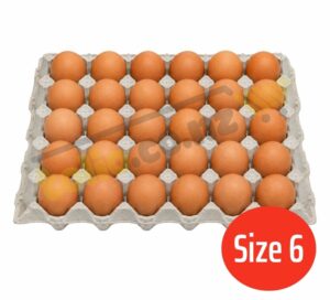Trứng gà size 6 khay 30 quả