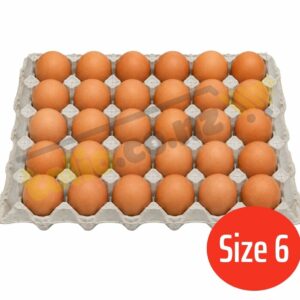 Trứng gà size 6 khay 30 quả