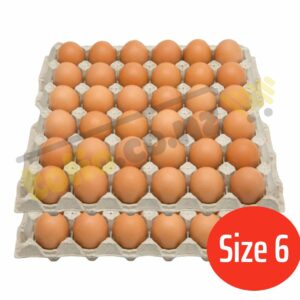 Set 2 khay trứng gà size 6