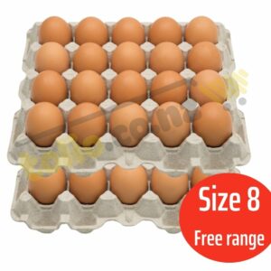 Set 2 khay trứng gà free range size 8 (20 quả/khay)