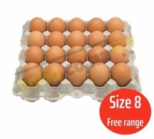 Trứng gà free range size 8 (20 quả/khay)