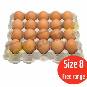Trứng gà free range size 8 (20 quả/khay)